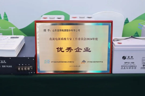 直流電源專家工作委員會2024年度優(yōu)秀企業(yè).jpg
